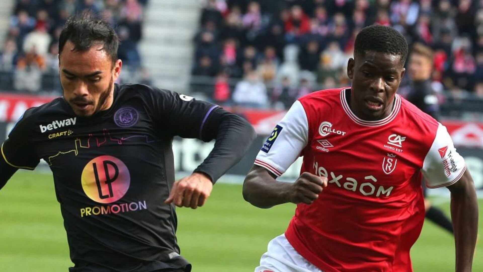 Gabriel Suazo Toulouse