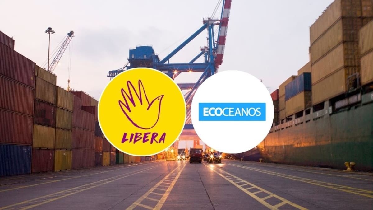 Polémica por aranceles de EE.UU.: ONGs chilenas denuncian “trabajo forzoso” y gremios las acusan de “deslealtad”