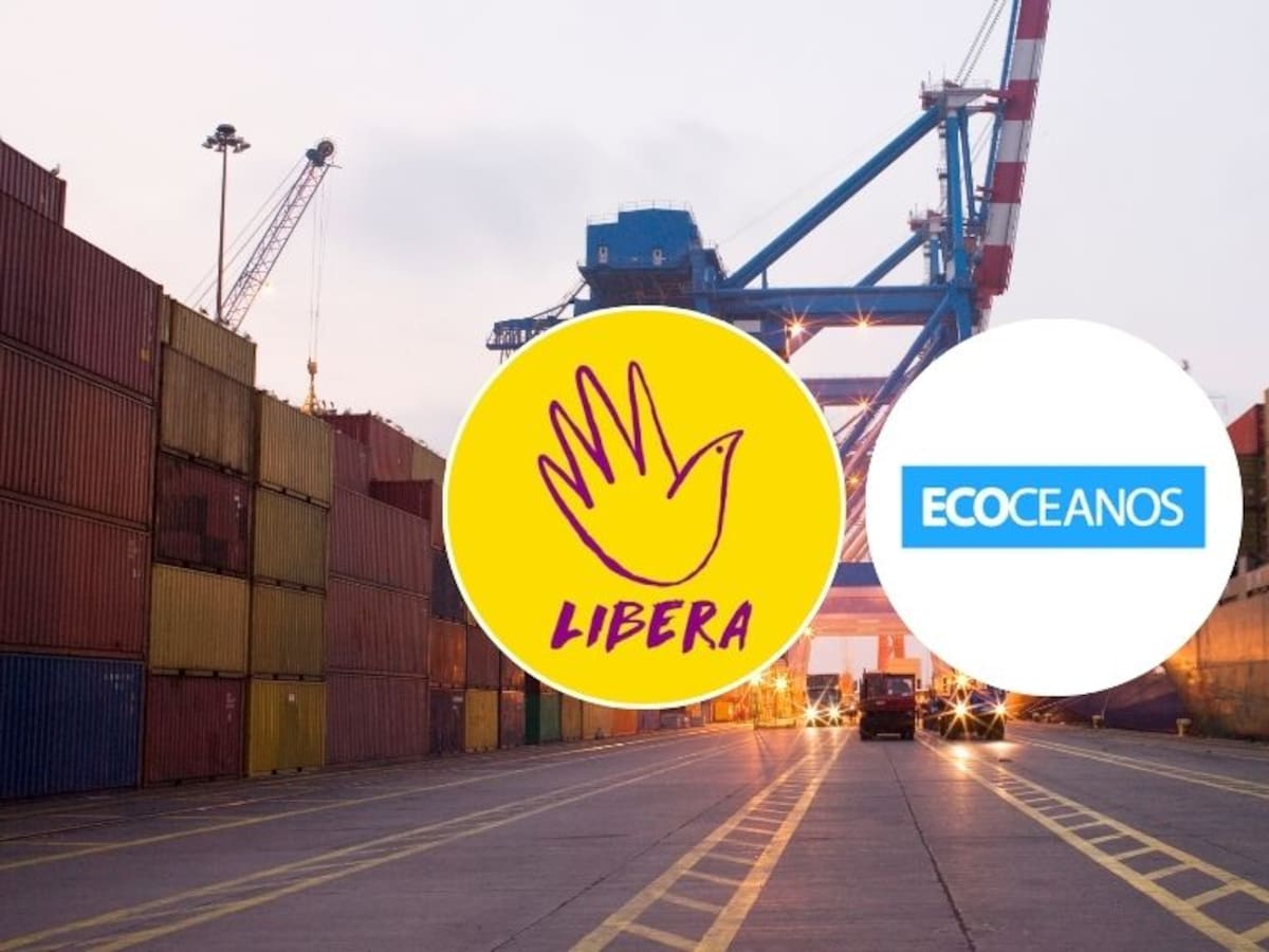 Polémica por aranceles de EE.UU.: ONGs chilenas denuncian “trabajo forzoso” y gremios las acusan de “deslealtad”