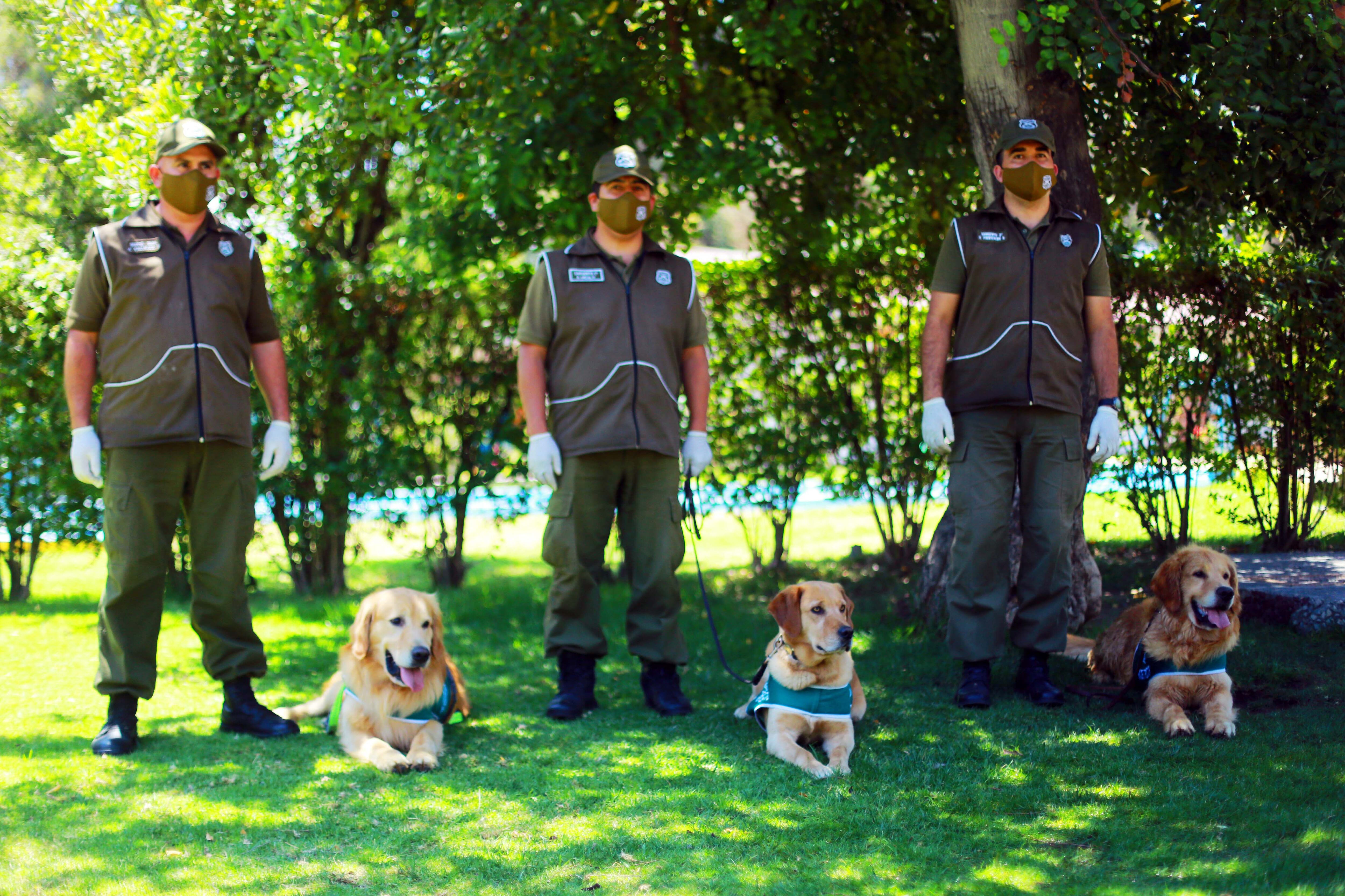 Perros biodetectores / Agencia Uno