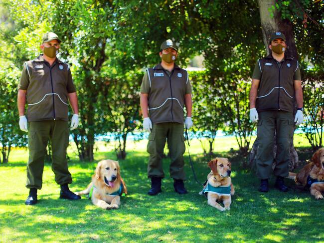 Perros biodetectores / Agencia Uno