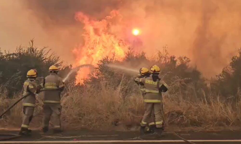 Decretan Alerta Roja en Collipulli por incendio forestal que amenaza Reserva Nacional Malleco
