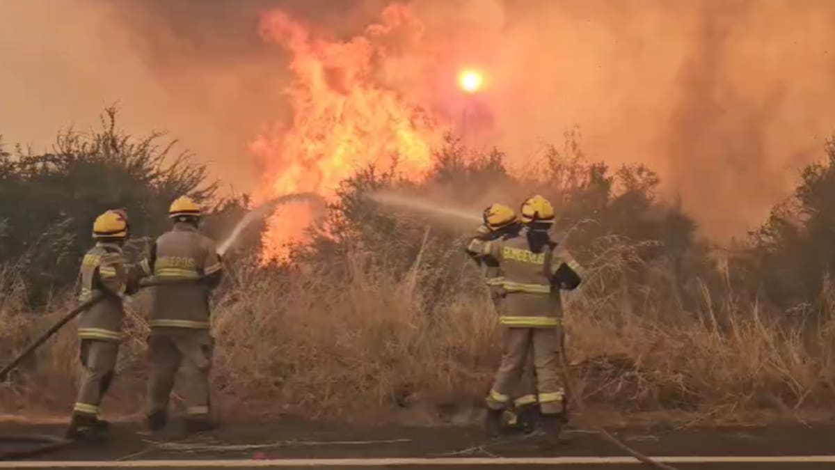 Directora ejecutiva Conaf e incendio forestal en Litueche que supera las 580 hectáreas consumidas: “Esperamos contenerlo hoy”