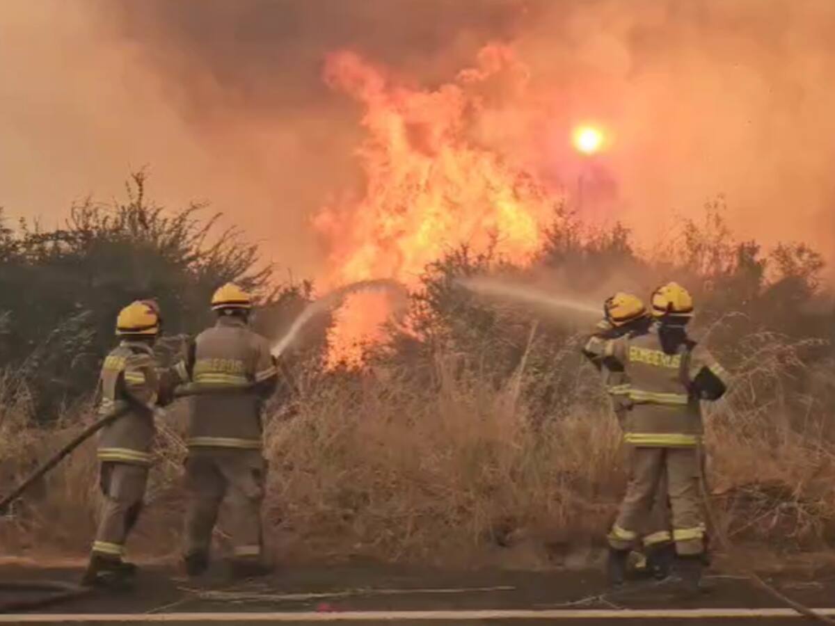 Decretan Alerta Roja en Collipulli por incendio forestal que amenaza Reserva Nacional Malleco