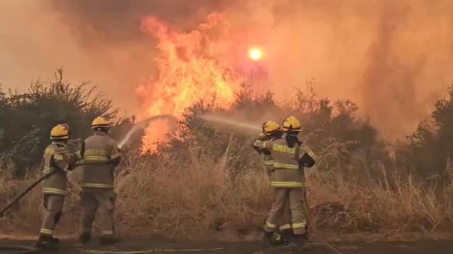 Decretan Alerta Roja en Collipulli por incendio forestal que amenaza Reserva Nacional Malleco