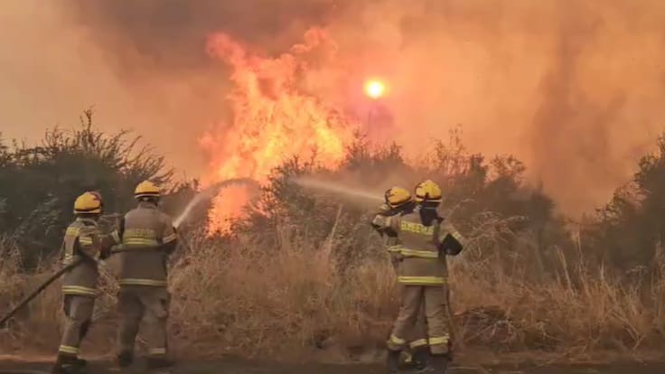 Decretan Alerta Amarilla en sector El Manzano, comuna de Purranque por incendio forestal