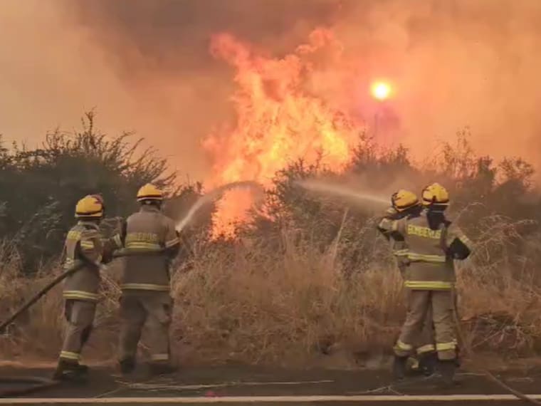 Decretan Alerta Amarilla en sector El Manzano, comuna de Purranque por incendio forestal