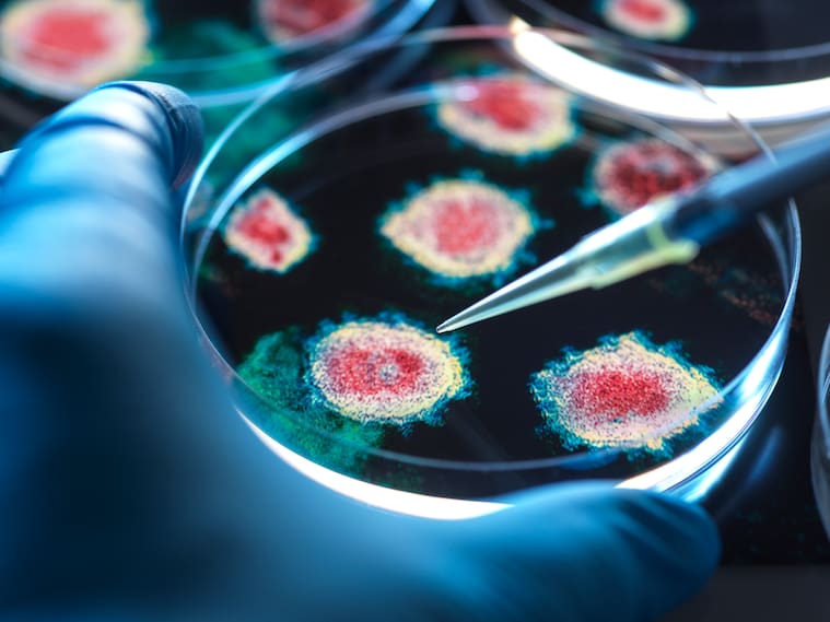 Virus