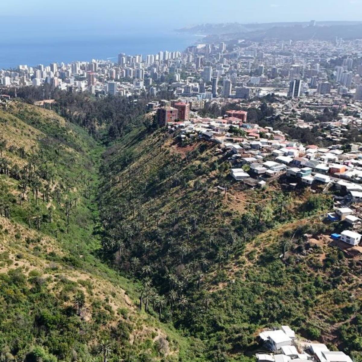 Valparaíso suma nuevo humedal urbano: Kan Kan ahora cuenta con protección oficial