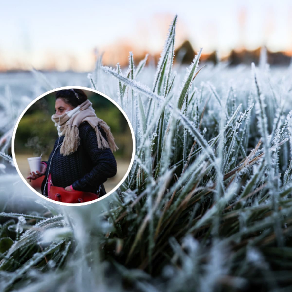 Frío polar llega a Chile: pronostican heladas de hasta -6 °C y rachas de 50 km/h esta semana