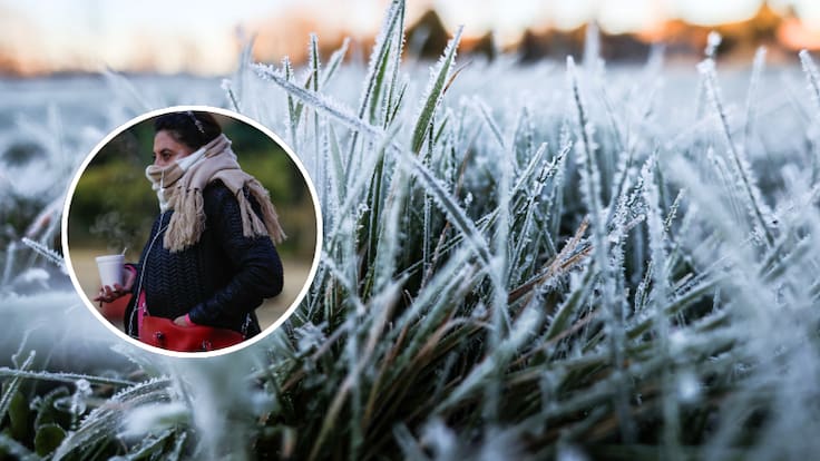 Hasta -19°C: Meteorología emite alarma por heladas intensas y extremas en dos regiones de Chile