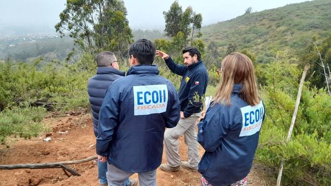 Cráneo, Cerro Mariposa, ECOH, Valparaíso, 1024x576 jpg ok
