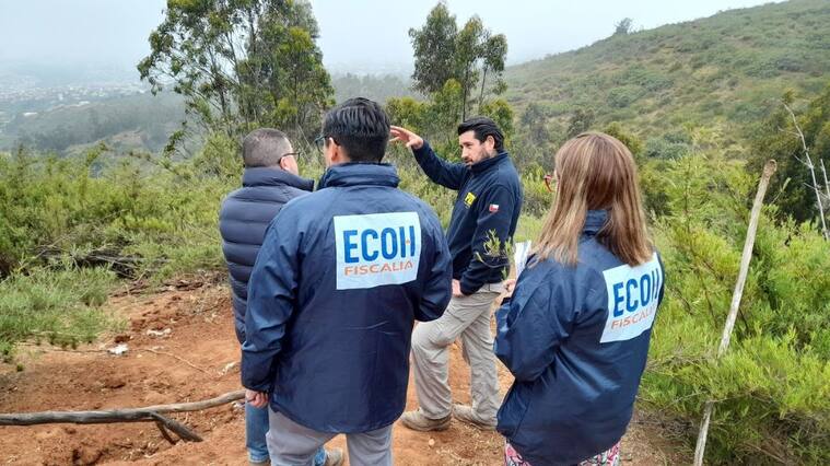 Cráneo, Cerro Mariposa, ECOH, Valparaíso, 1024x576 jpg ok