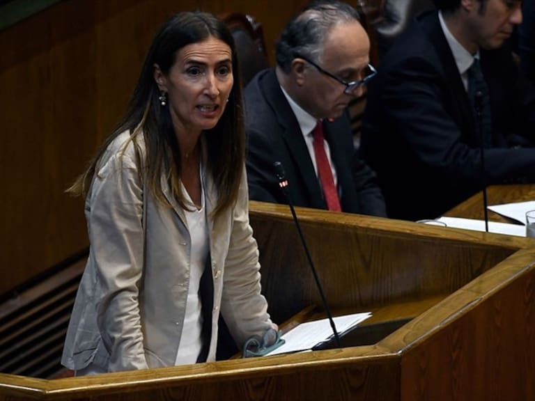 Schmidt tras ser interpelada por COP25: «Es importante entender que queríamos avanzar más»