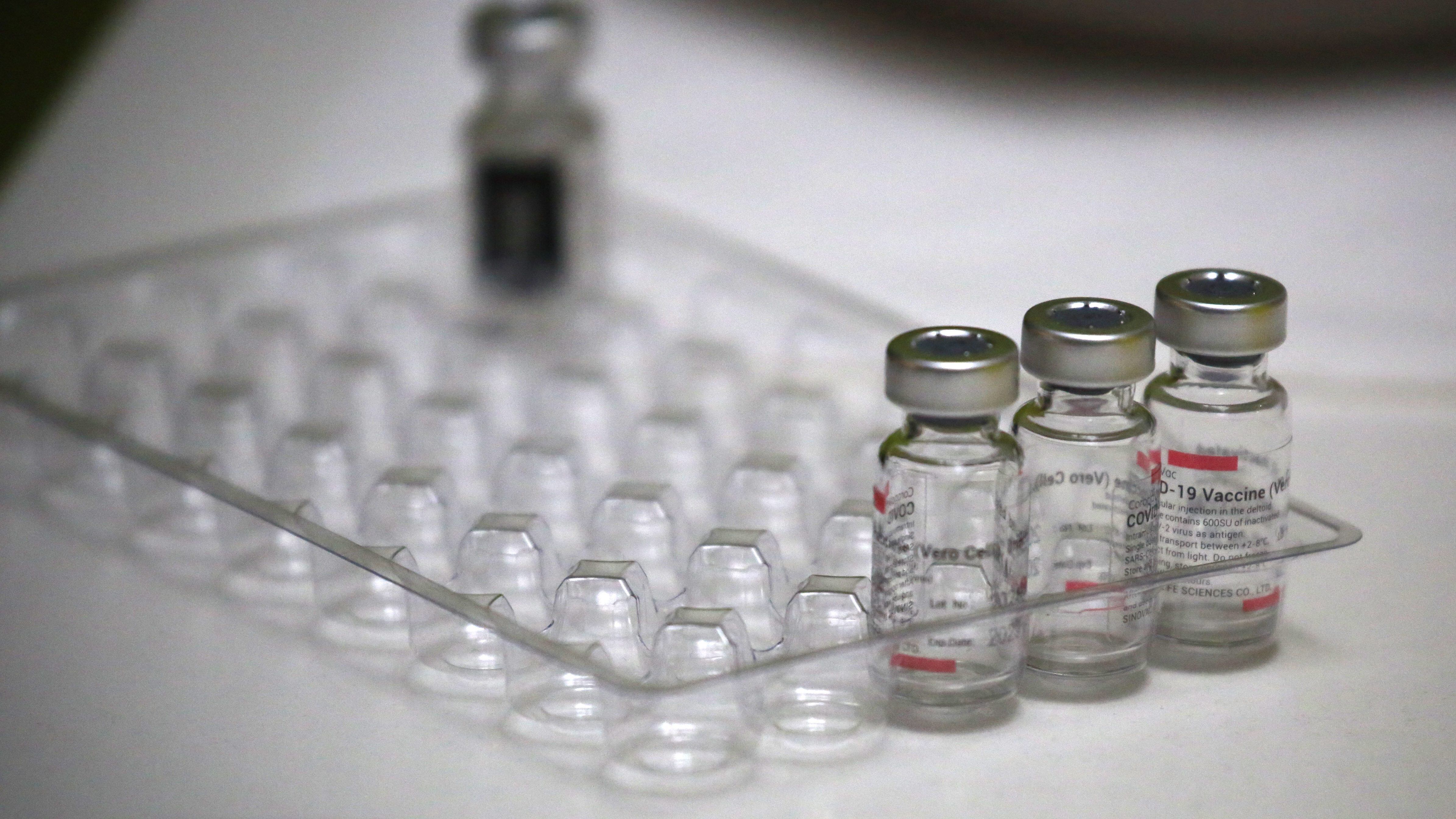 Investigador del IMII habló de eventual llegada de laboratorio Sinovac