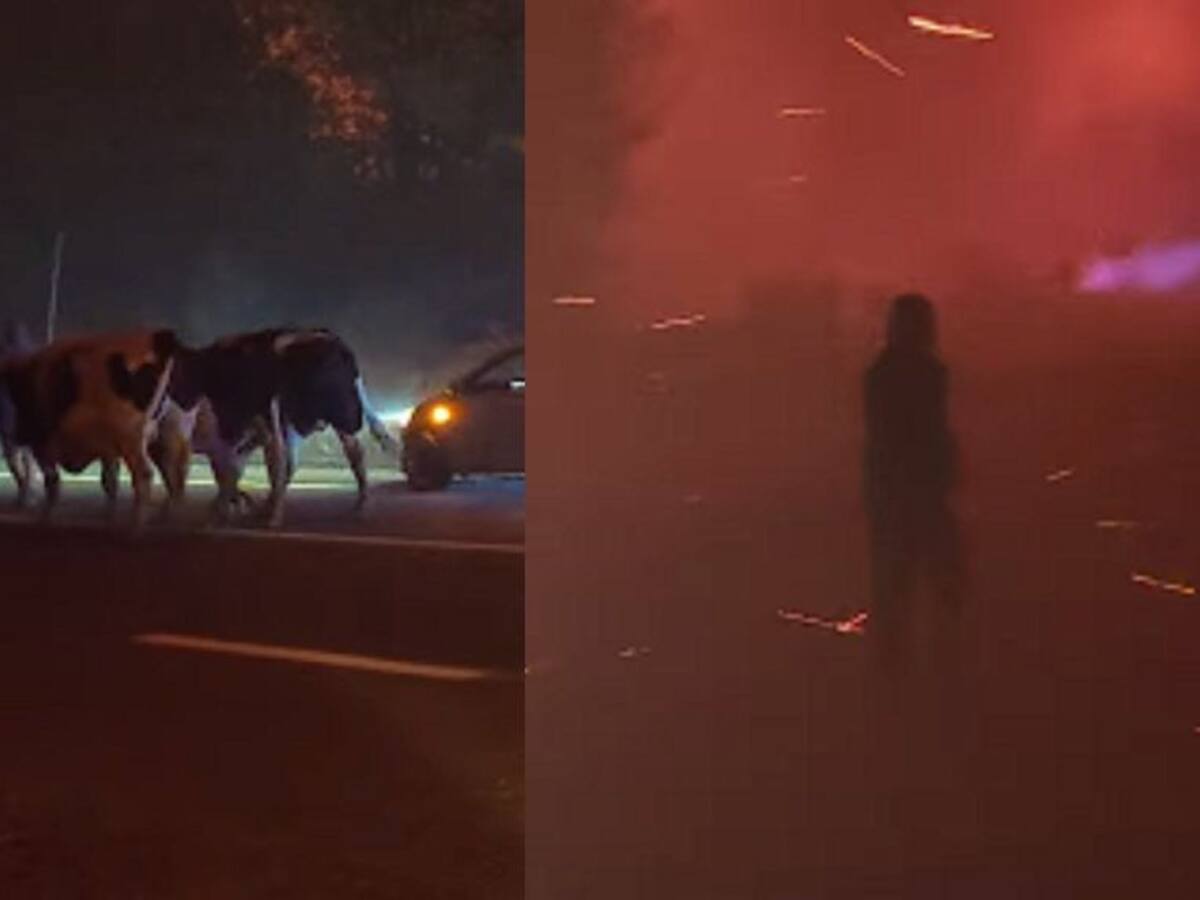 Cielo de color rojo: incendio en Tomé deja impactantes y preocupantes imágenes