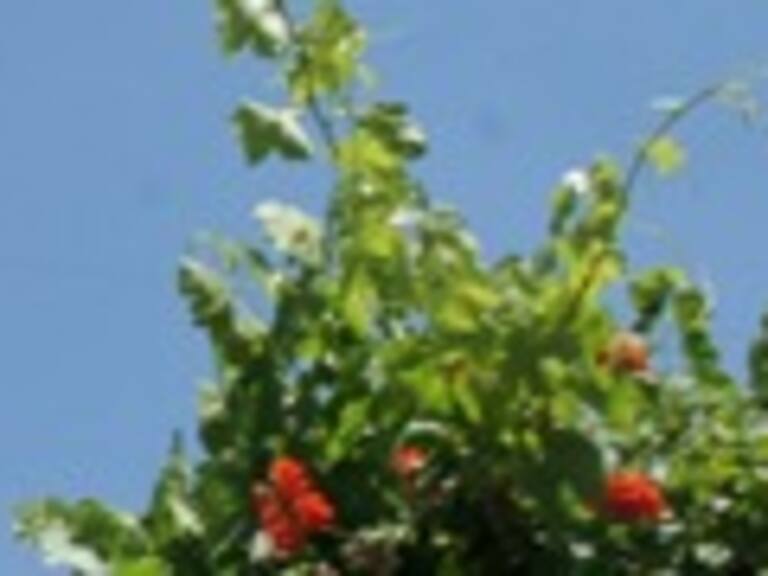 Abogado de Jorge Valdivia: »Creemos que Jorge dijo su verdad y con eso nosotros quedamos conforme»