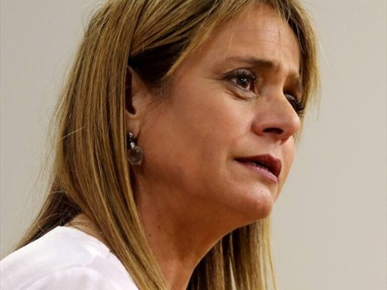 Van Rysselberghe criticó el Museo de la Memoria, aunque reveló no conocerlo