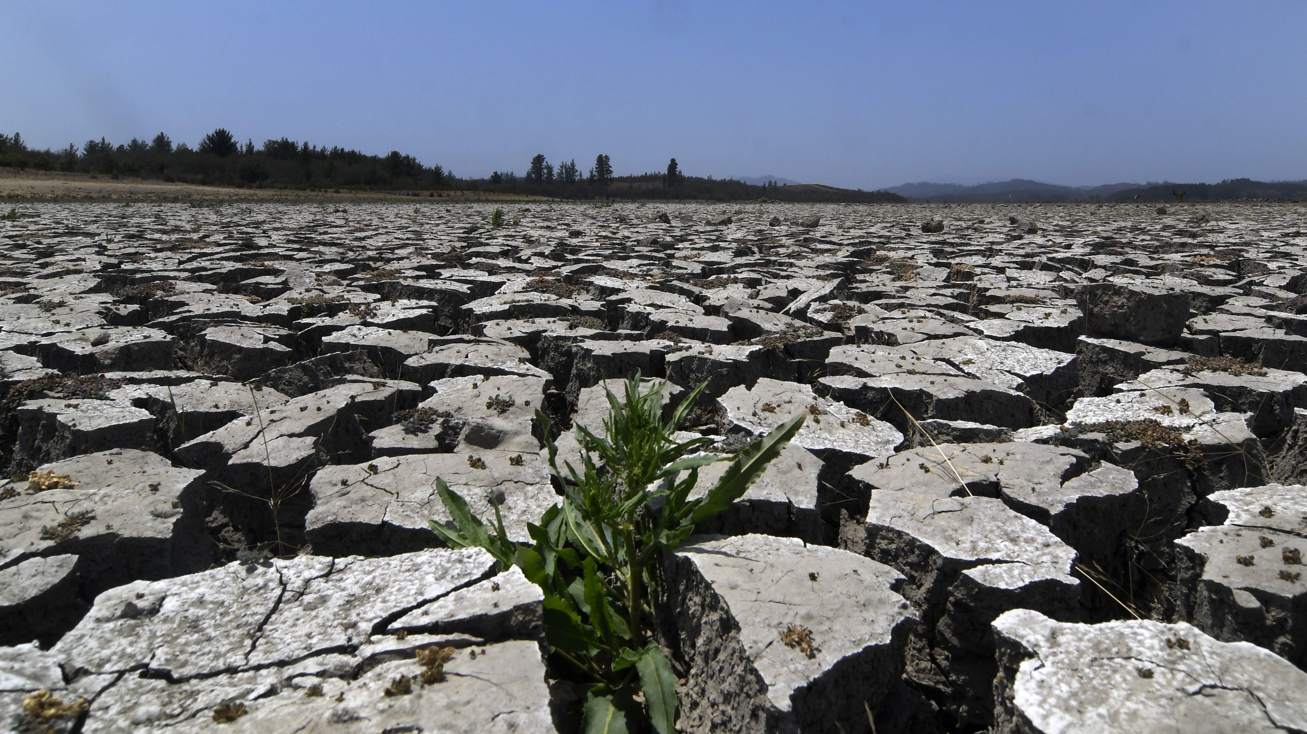05 DE FEBREO DE 2020/VALPARAISOUn lugar seco con una pequeña vegetación donde tenia agua en el Lago Peñuelas que está ubicada la región de Valparaíso, donde ha perdido gran por ciento de su capacidad hídrica en medio de la sequía que afecta a la zona central del país. FOTO: PABLO OVALLE ISASMENDI/AGENCIAUNO