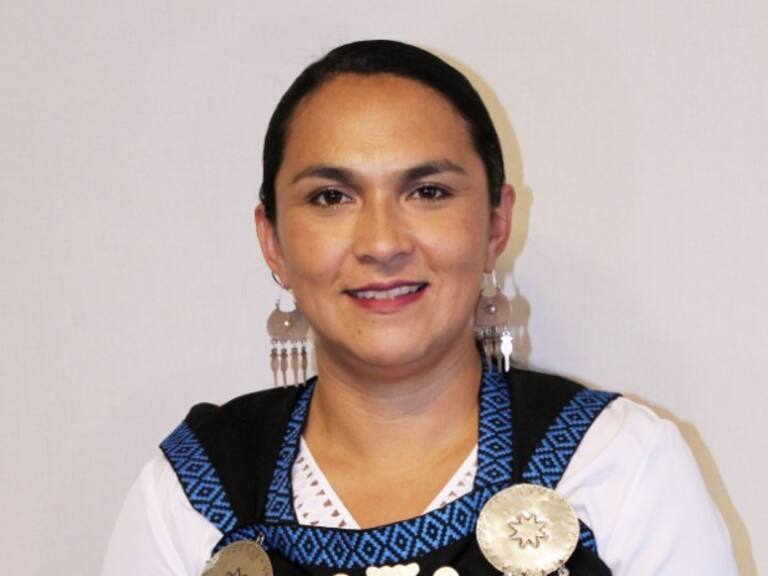 Rosa Catrileo, constituyente mapuche: «Si la plurinacionalidad es el mero reconocimiento de que hay pueblos indígenas, no nos sirve mucho»