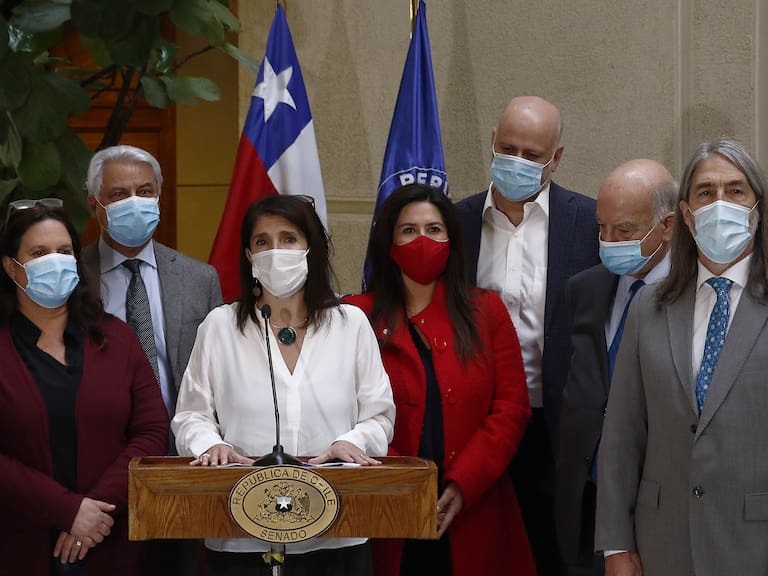Paula Narváez y parlamentarios del PS presentaron propuesta de renta básica universal