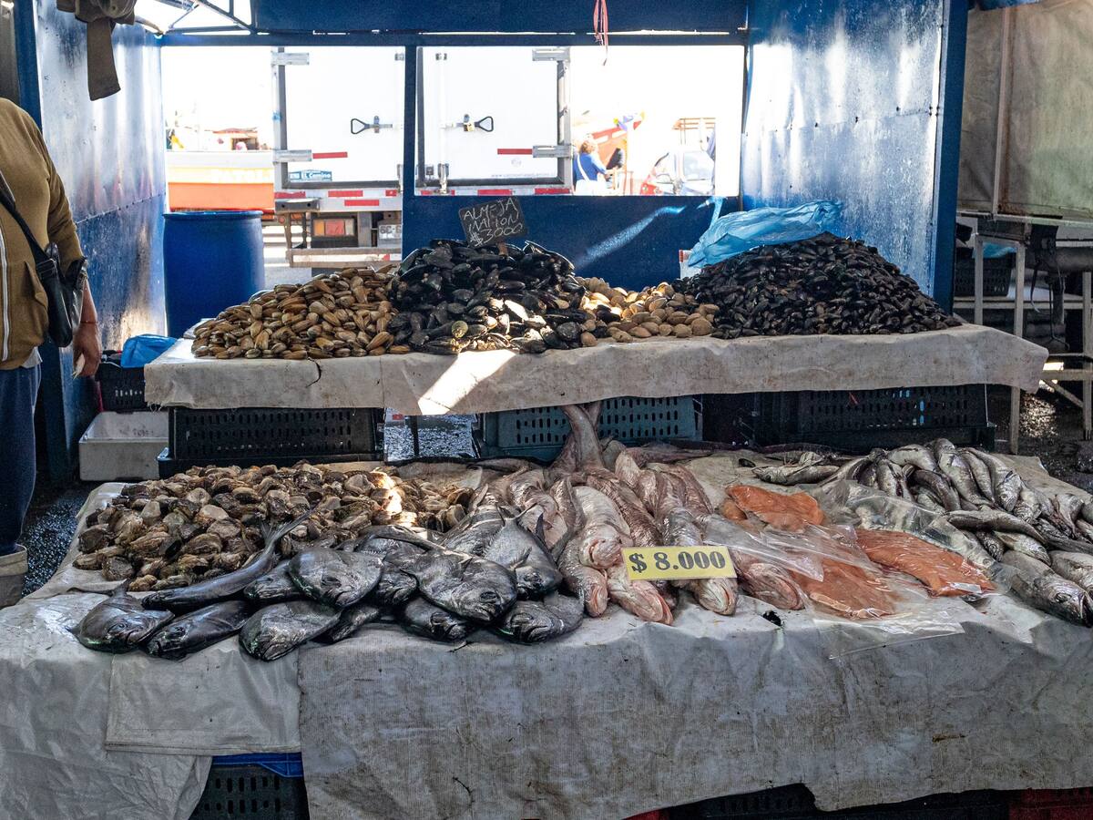 Semana Santa en Valparaíso: refuerzan controles por alza en consumo de pescados y mariscos