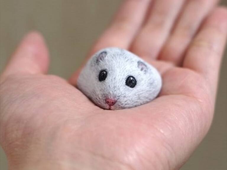 Artista japonesa utiliza piedras comunes y corrientes para retratar tiernos animales