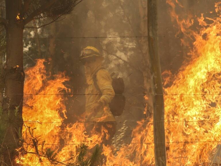 Brigadista forestal muere tras caída de árbol en medio de combate a incendios en Angol