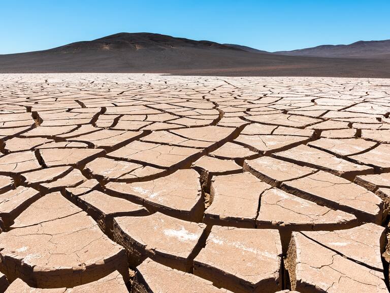 Fenómeno de la Niña en Chile: alertan posibles riesgos en la “seguridad alimentaria”, tras último informe