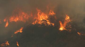 Decretan arresto domiciliario contra mujer acusada de causar incendio que consumió 40 hectáreas