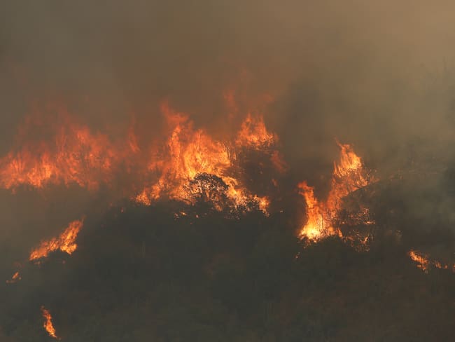 Región Metropolitana: Senapred declara Alerta Roja para San Pedro por incendio forestal 