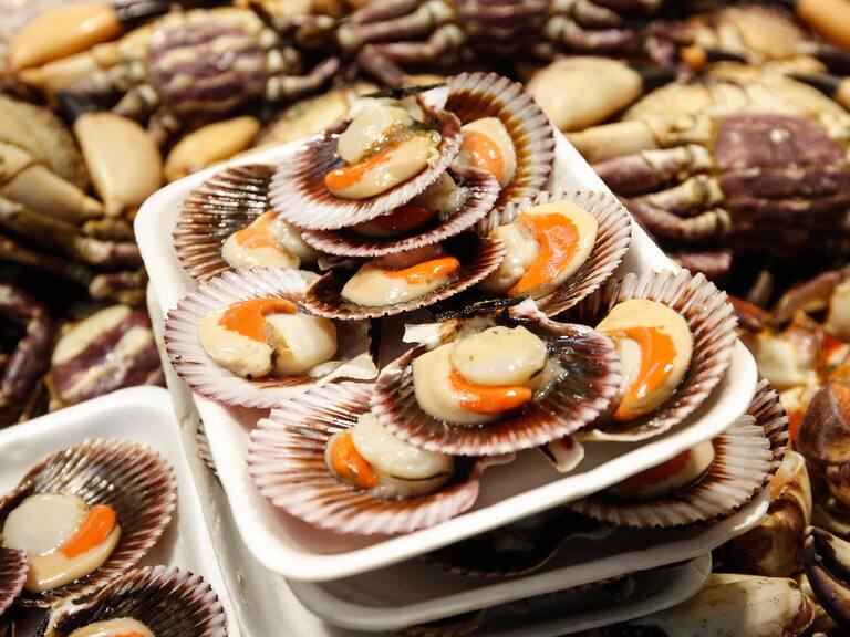 Tras el brote de vibrio parahaemolyticus en Coquimbo: qué es, cuáles son los síntomas y cómo evitar enfermarme ante el consumo de mariscos y pescados