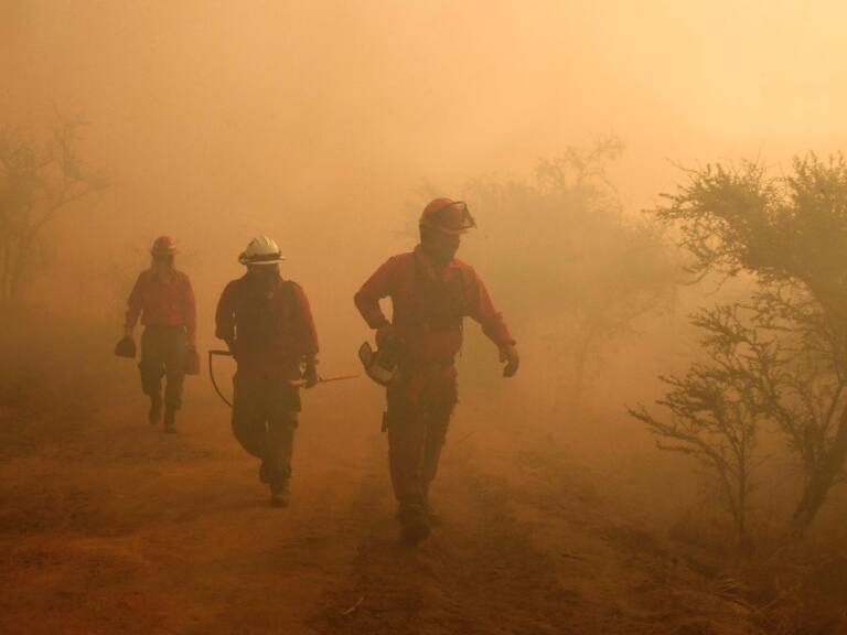 Senapred solicita evacuación de nuevos sectores en Ñuble y Biobío por incendios forestales
