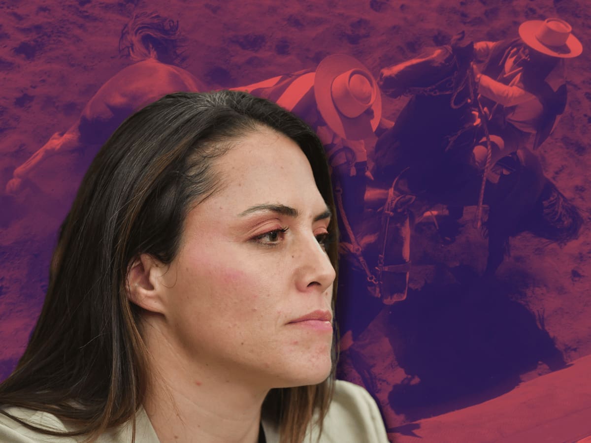 “No es deporte, es maltrato”: deportistas se lanzan contra ministra Duco tras dichos sobre el rodeo