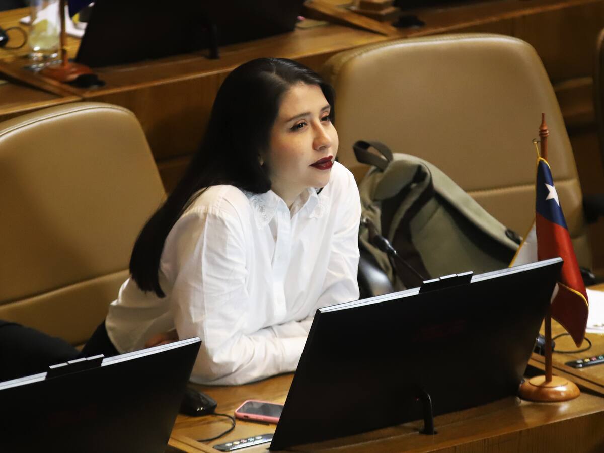 “Fue agredida violentamente”: diputada Veloso se refiere a accidente en estado de ebriedad tras perseguir a asaltantes