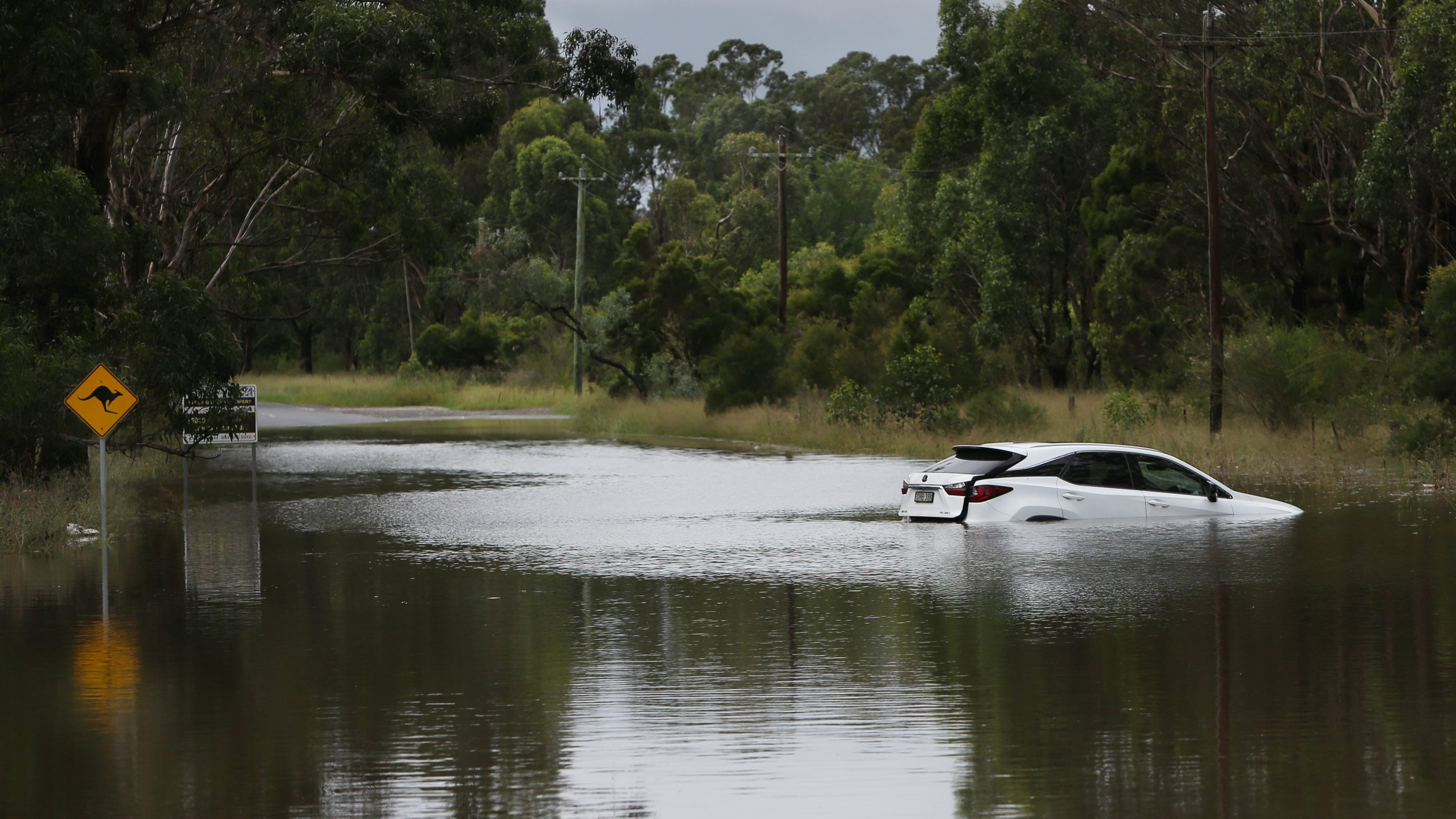 SYDNEY, AUSTRALIA - MARCH 03: A vehicle is seen partly submerged under rising floodwaters along the Hawkesbury River in the suburb of Windsor on March 03, 2021 in Sydney, Australia.  Thousands are being told to evacuate Sydney suburbs with 50-250 millimetres of rainfall expected today. (Photo by Lisa Maree Williams/Getty Images)