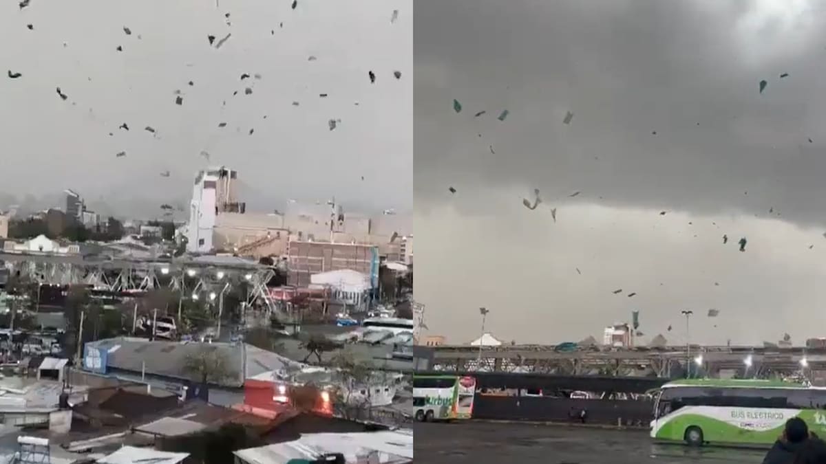 Mujer resulta herida tras paso de tornado en Estación Central: más de 40 árboles cayeron en la comuna