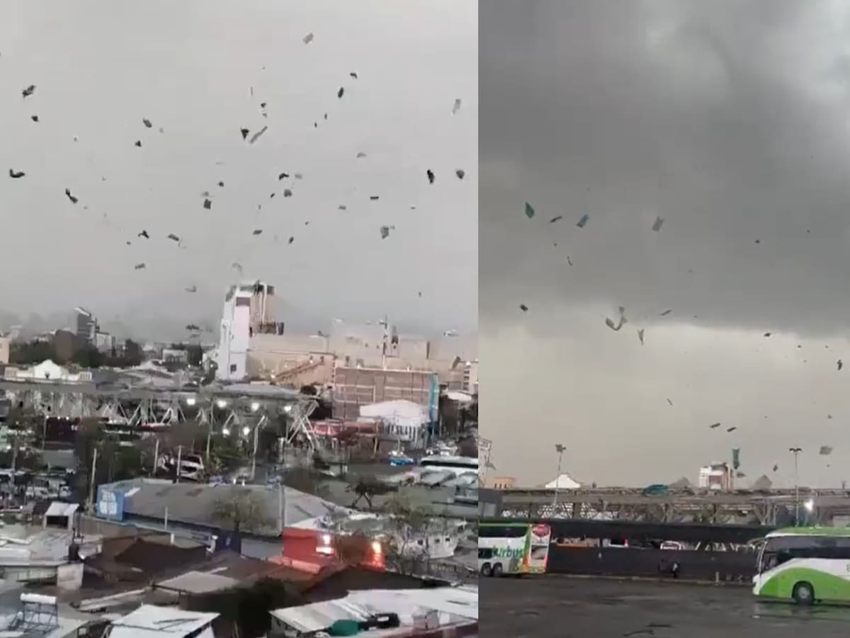 Mujer resulta herida tras paso de tornado en Estación Central: más de 40 árboles cayeron en la comuna