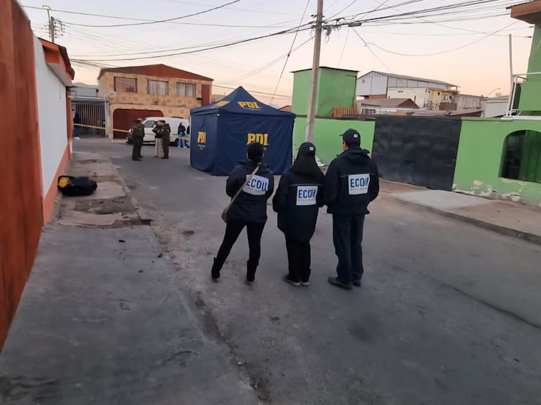 Mujer y su mascota mueren electrocutadas en Antofagasta: qué se sabe y cuáles son las hipótesis