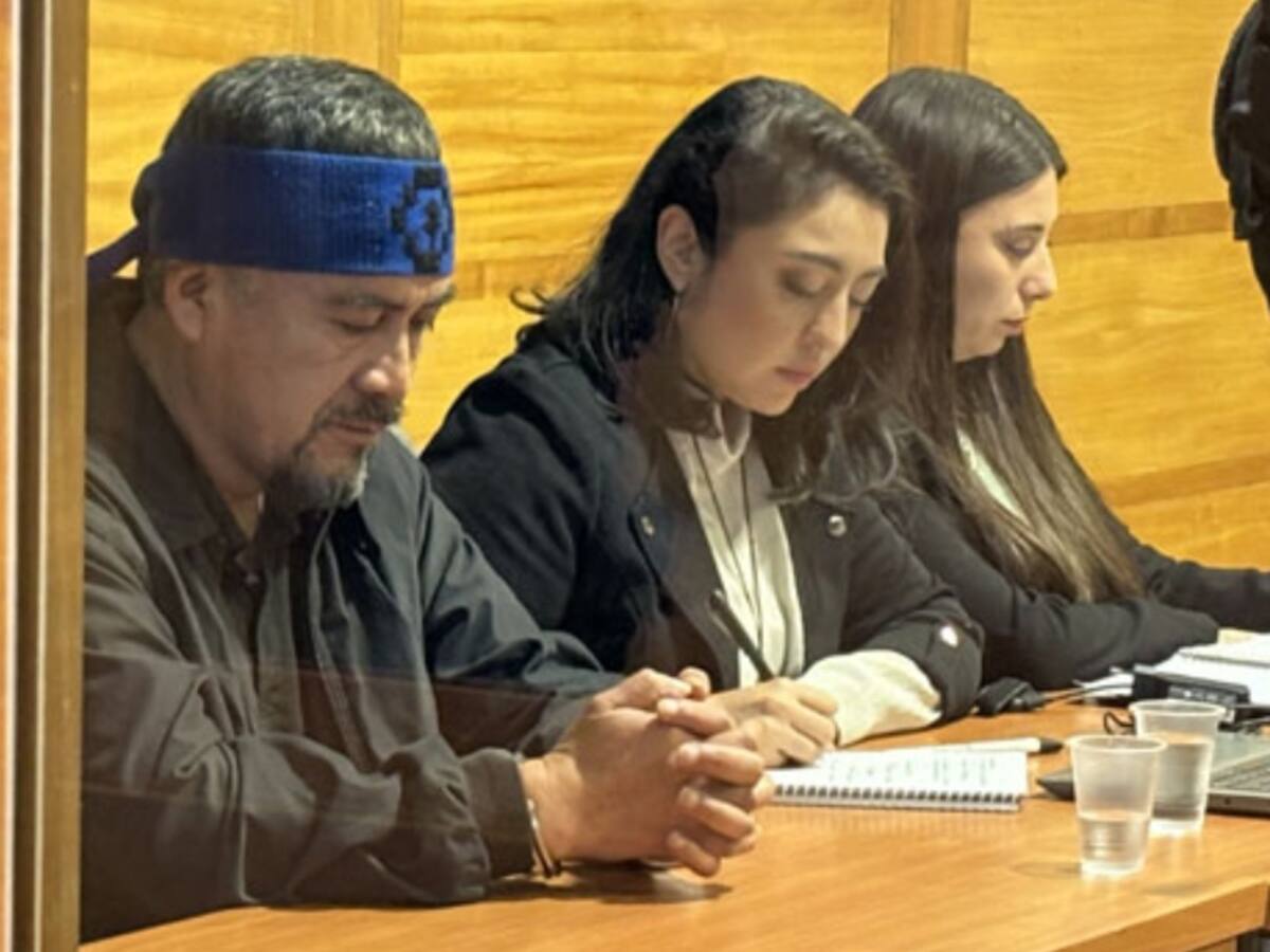Diputados valoran condena de 23 años de cárcel a Héctor Llaitul, pero llaman a estar preparados para que no haya acciones reivindicatorias de la CAM