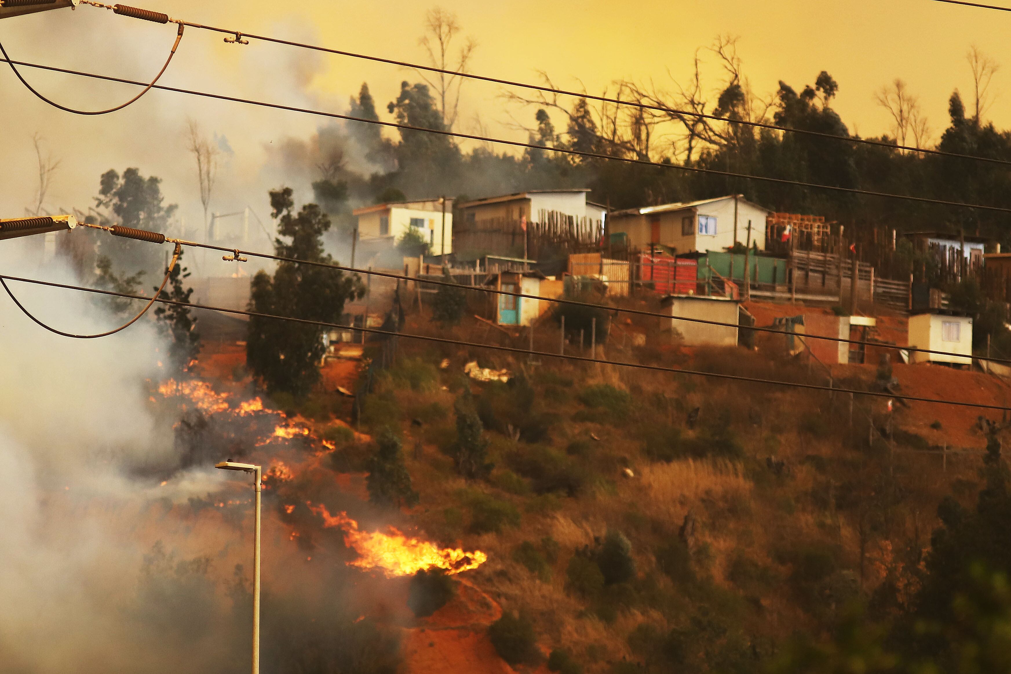 03 DE FEBRERO DE 2024/VIA DEL MAR
Cientos de personas evacuaron a adultos mayores, sus animales y pertenecias, luego de que el fuego amenazara el sector de Miraflores Bajo
FOTO: MANUEL LEMA OLGUIN/AGENCIAUNO