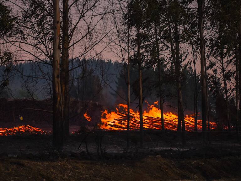 Onemi declaró alerta roja por incendio forestal en la comuna de Curacaví