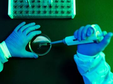 Soy epidemiólogo y esta es la enfermedad infecciosa que puede ser el mayor problema para los humanos en 2025