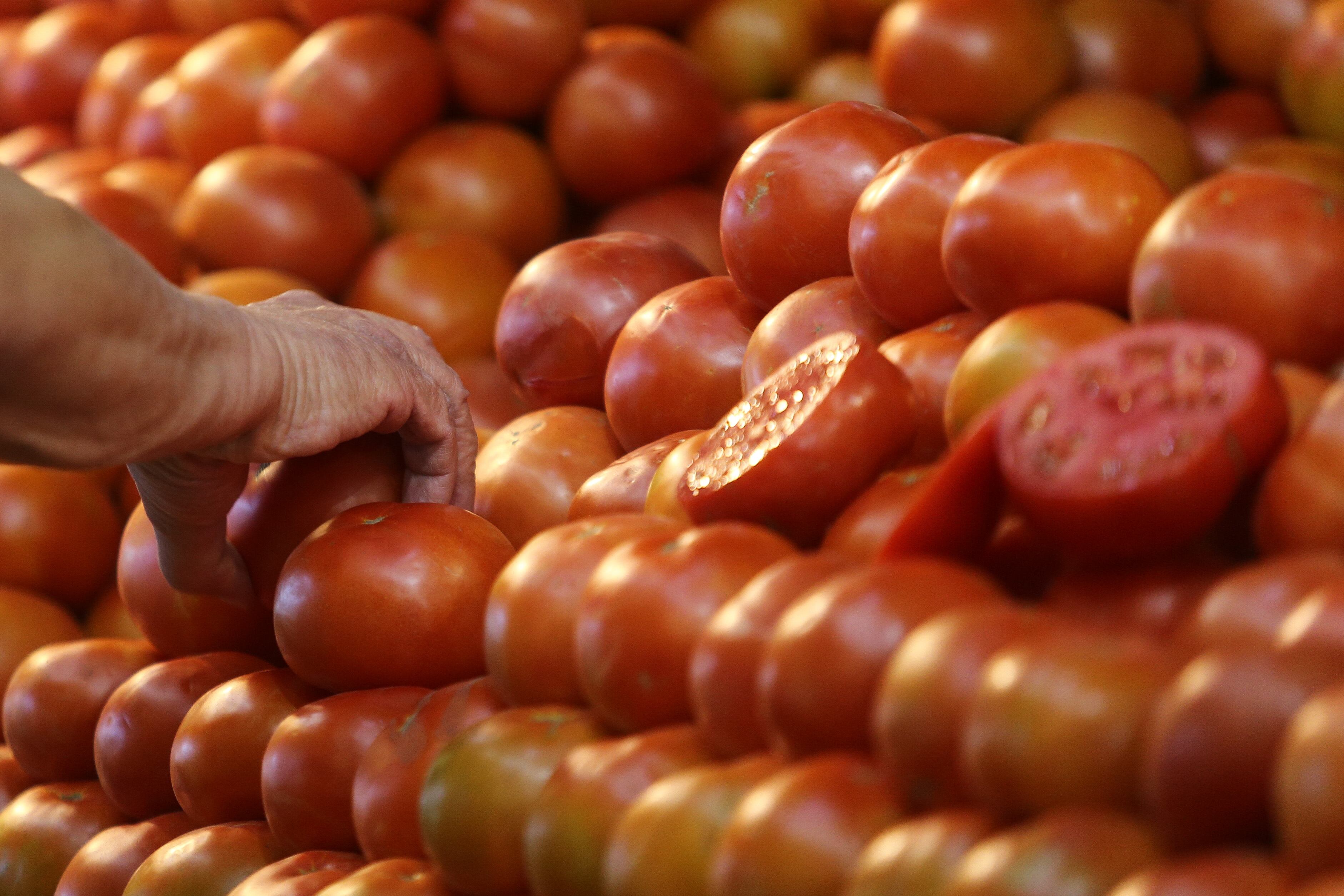Tomates