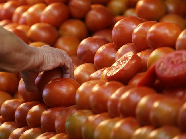 Tomates