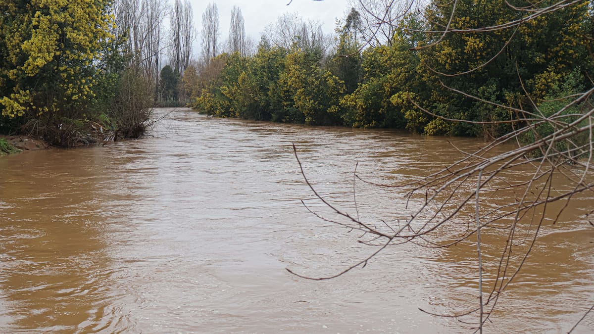 Lluvia en Chile, hoy en vivo: a qué hora parte, alertas, evacuaciones y pronóstico actualizado por región