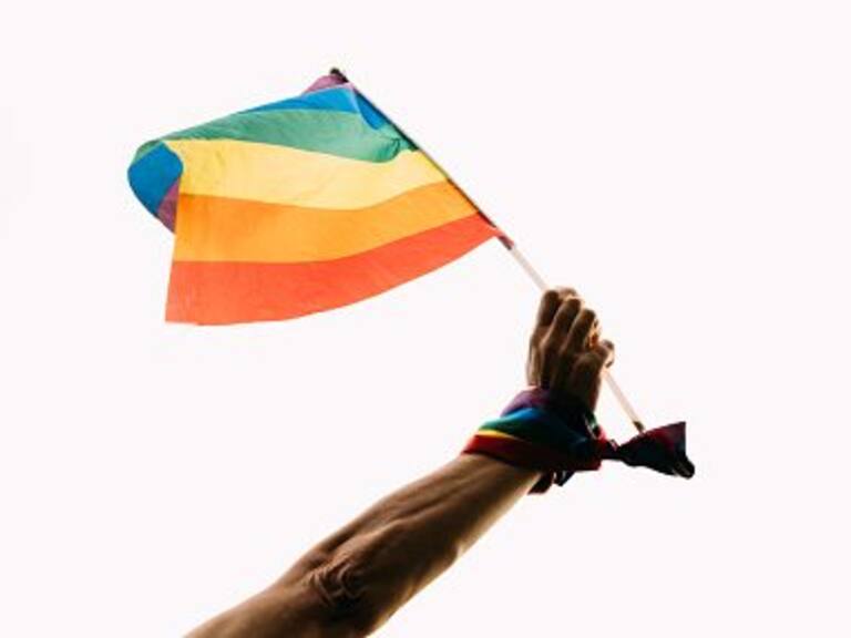 Experto sobre diversidades afectivosexuales: «Es bueno actualizarse en todas estas terminologías»