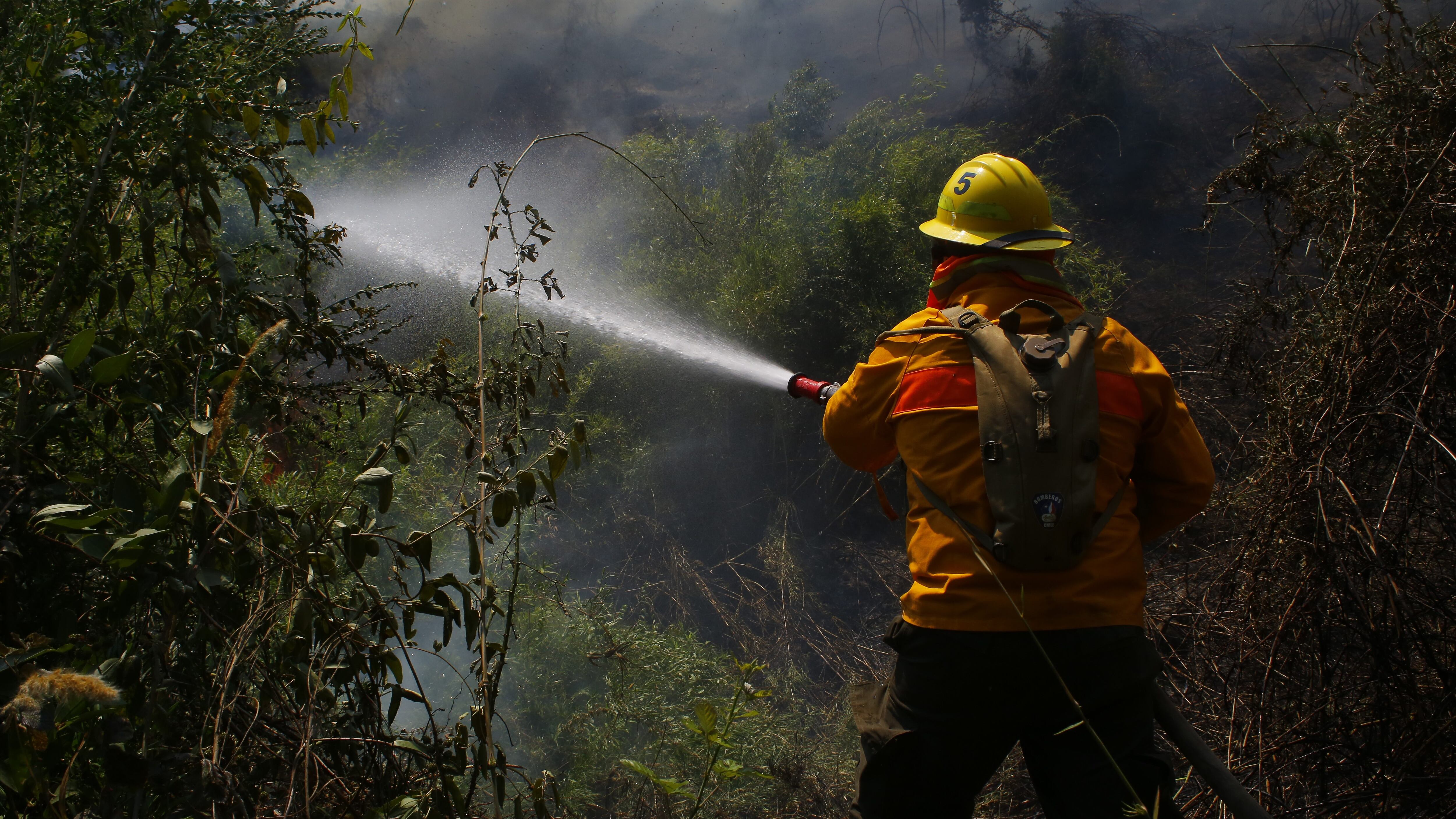 Incendio forestal