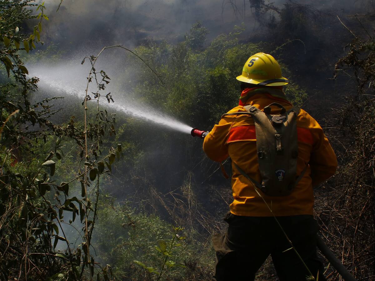 Por presencia de incendios forestales: ordenan evacuar dos sectores de La Araucanía