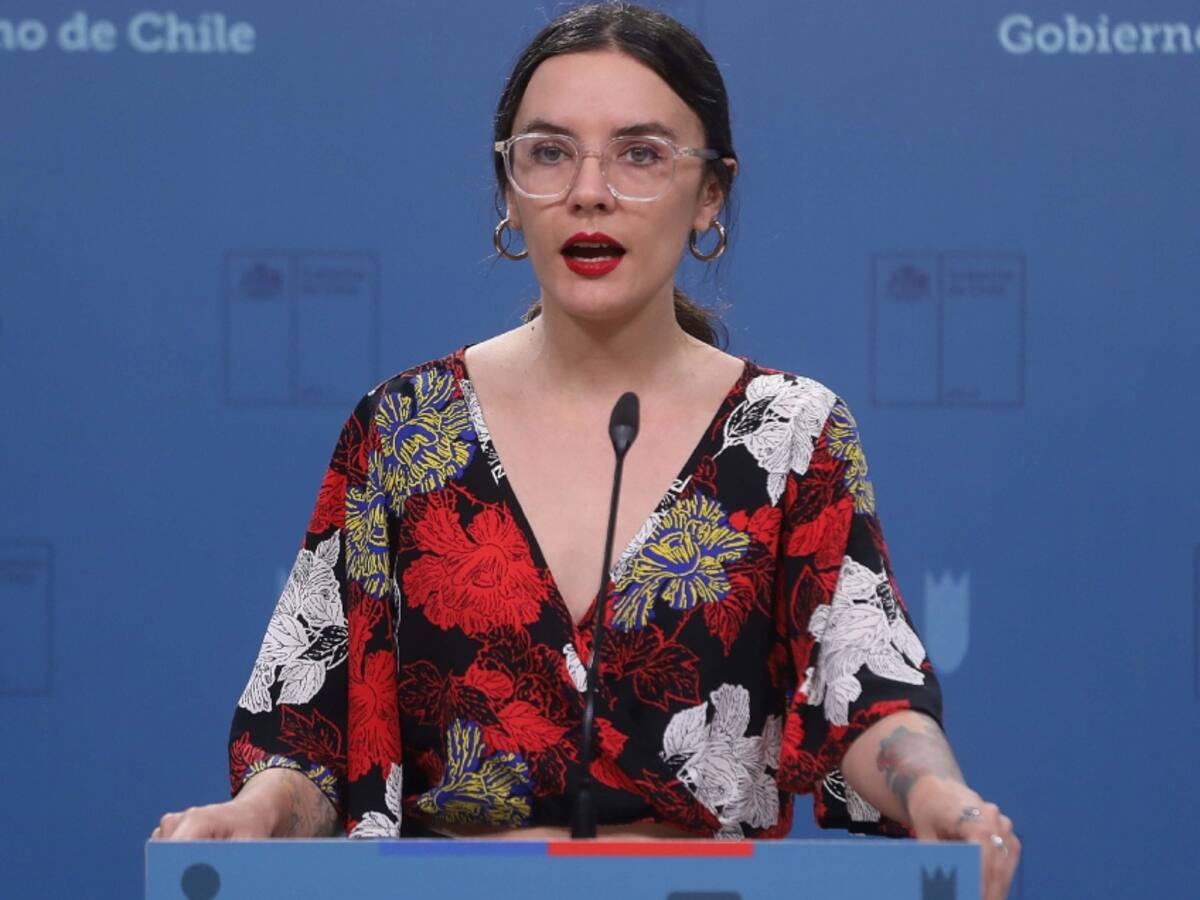 Ministra Vallejo y proceso constitucional: «Las y los expertos no suplantan la democracia»